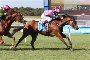 De Little Engine powers to Sandown win